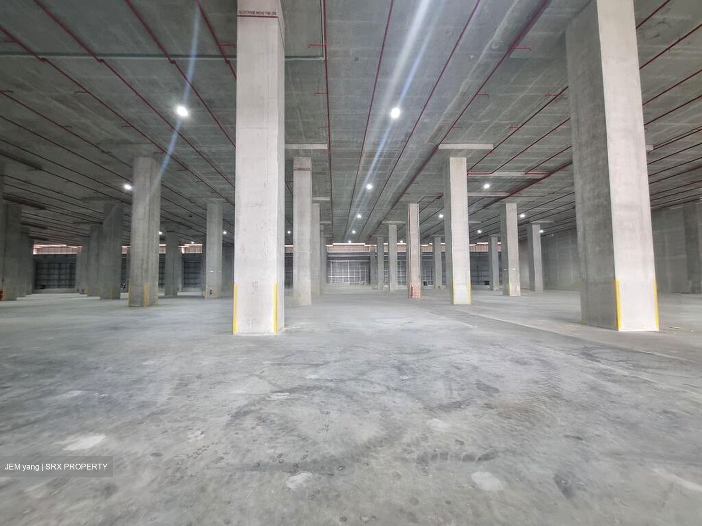 Pandan Light Industries Park (D5), Warehouse #462632131